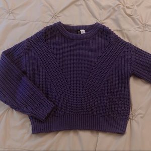 H&M purple knit sweater